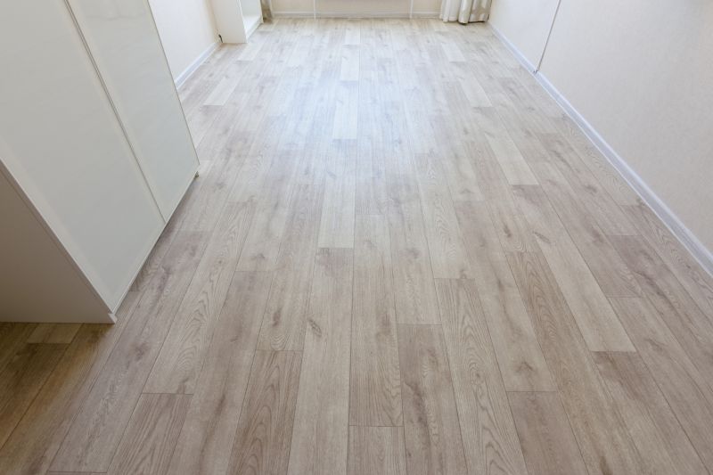 Linoleum Floor Installation in Hopkins, MN